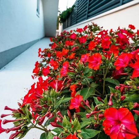 Margita 스플리트