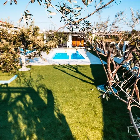 Margita 스플리트