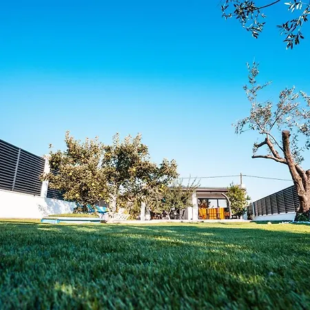 Margita 스플리트